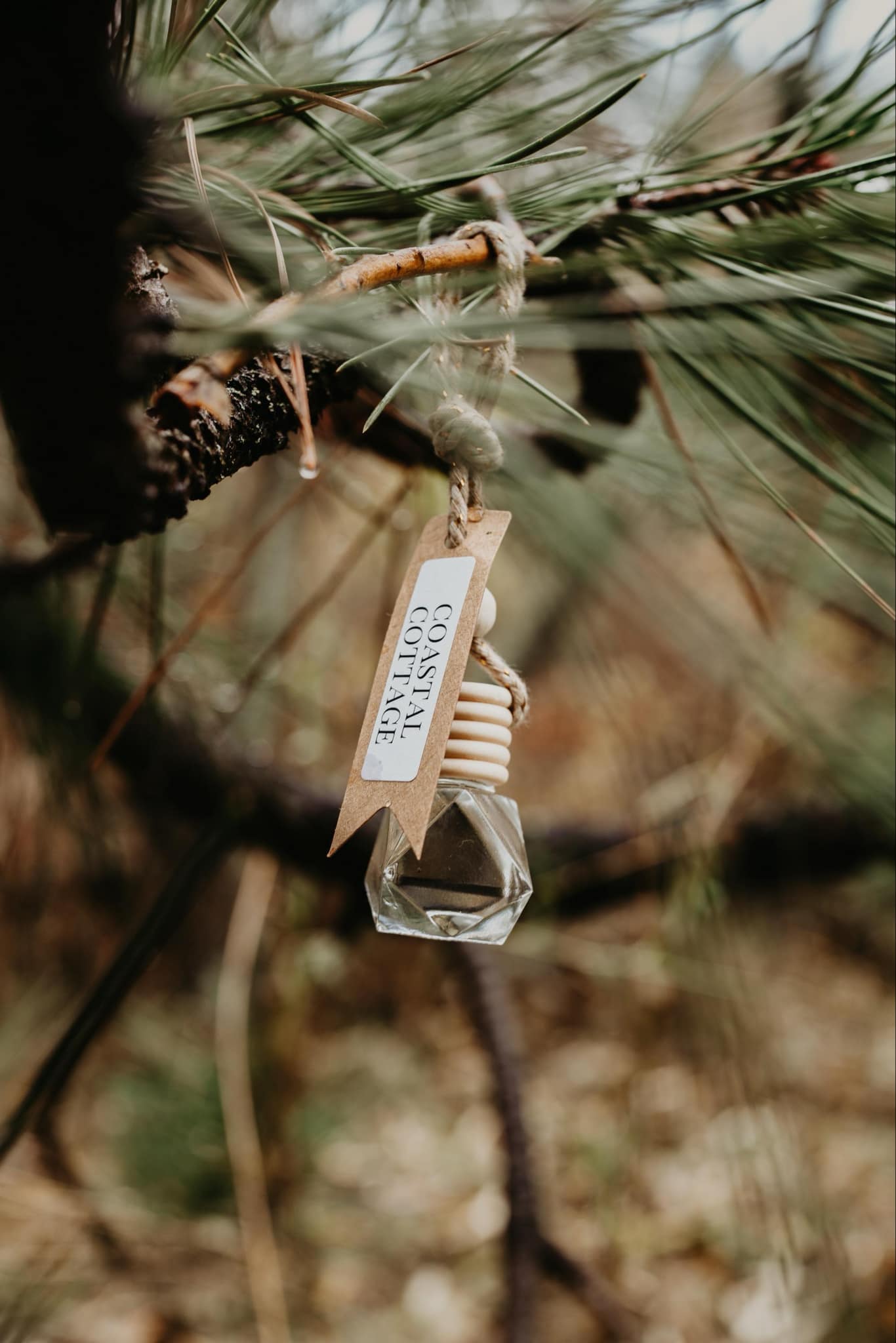 Car Diffusers - PNW Inspired Scents Non-Toxic Car Freshener